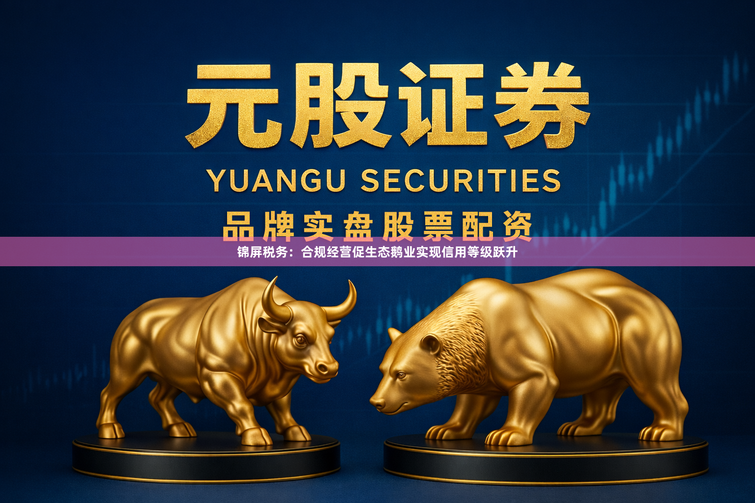 锦屏税务：合规经营促生态鹅业实现信用等级跃升
